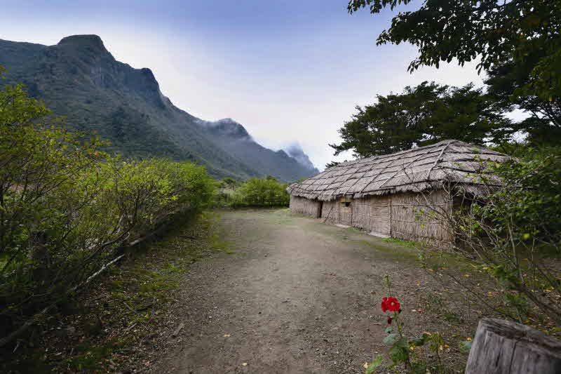전경