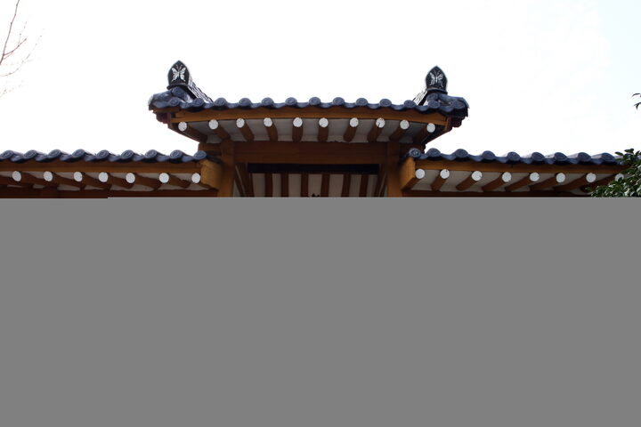 무안 유교리 고택_솟을대문 (촬영년도 : 2015년)