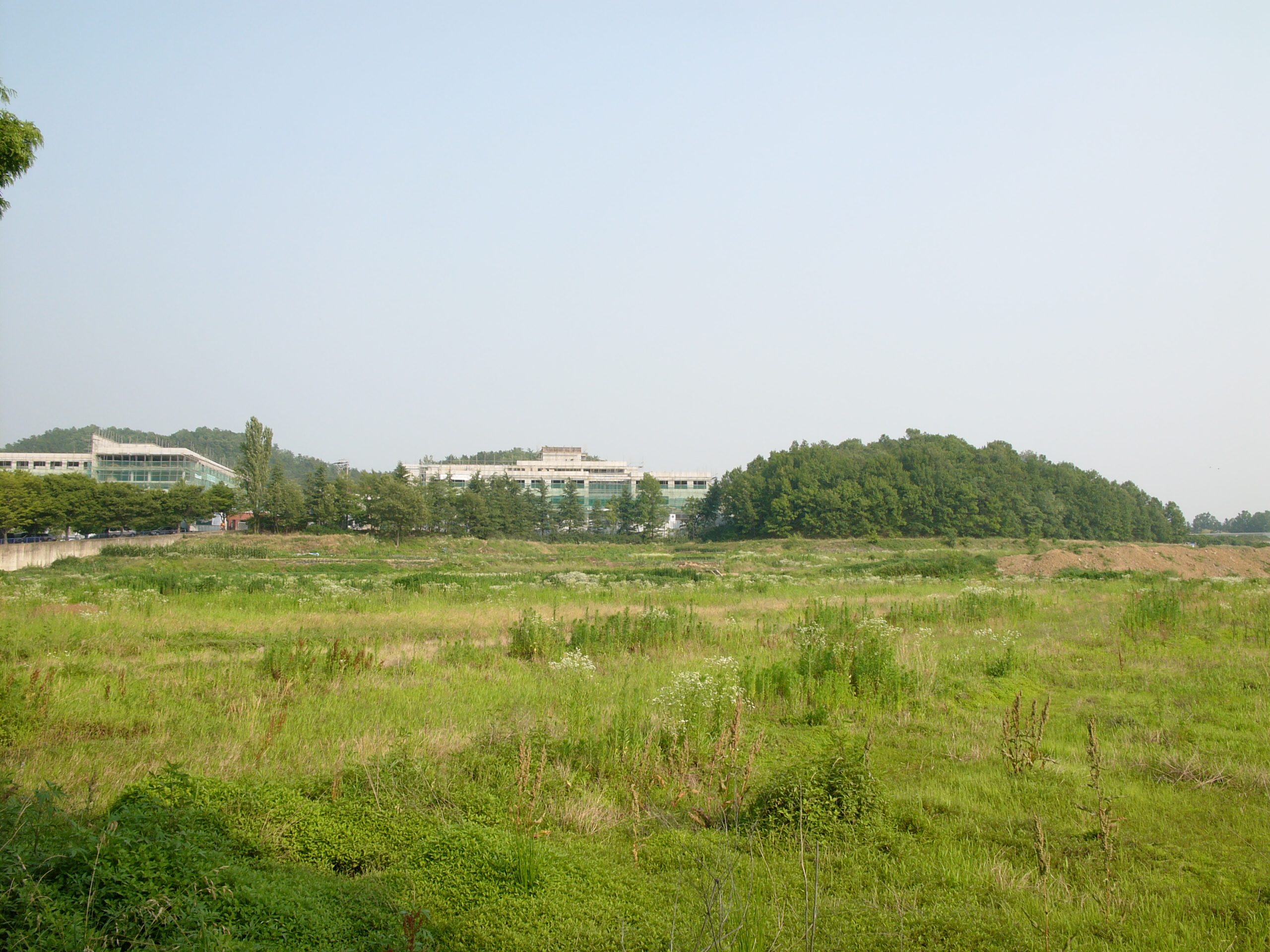 봉무동고분군 전경
