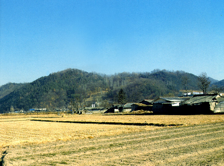 사정성