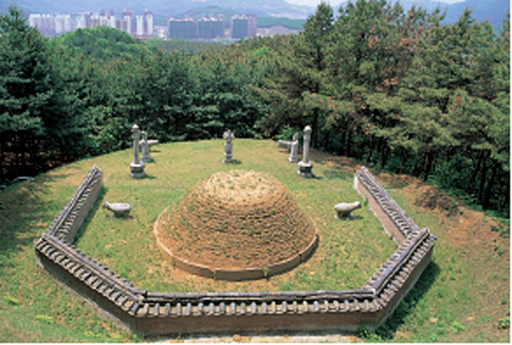 흥선대원군묘(후면에서본묘역)