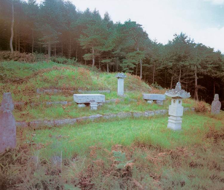유관선생묘