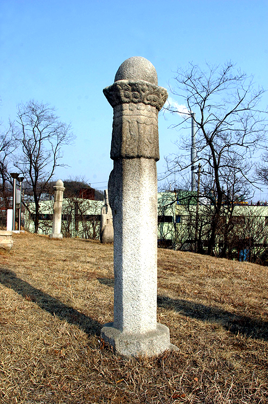 우측망주석