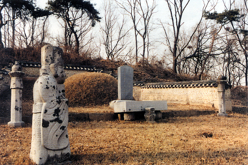 김육묘
