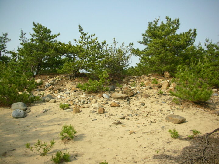 하시동고분군