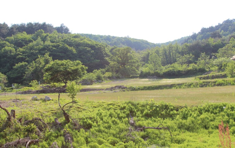 보광리 분청자요지