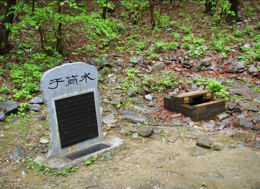 우통수 근경