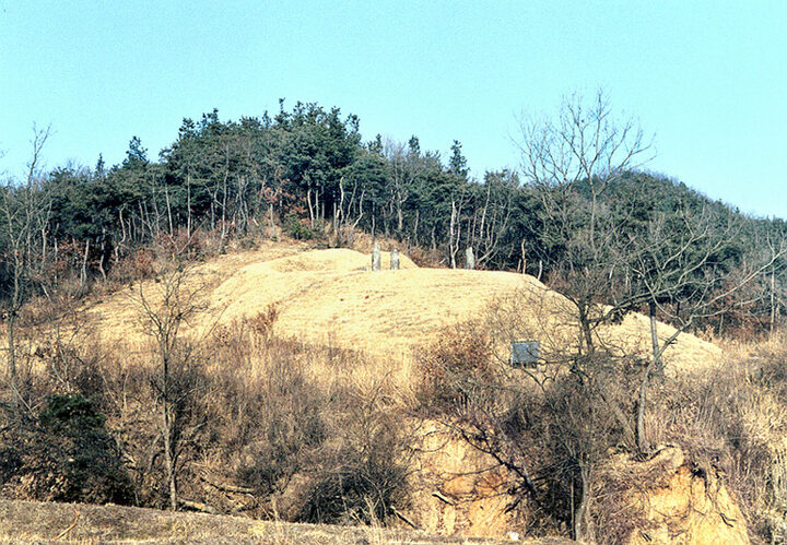 음성 경녕군 부인 김씨 묘소