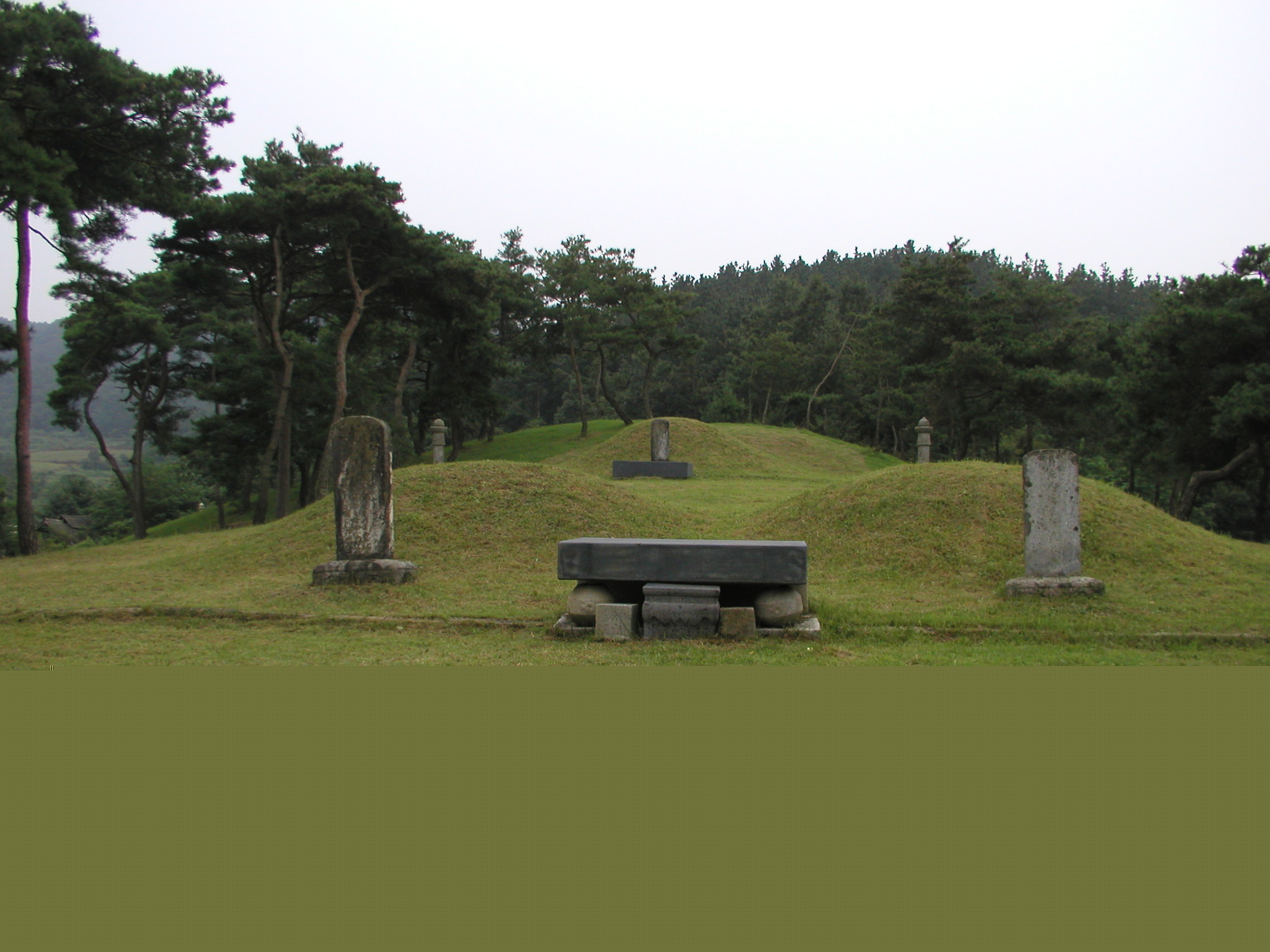 전경