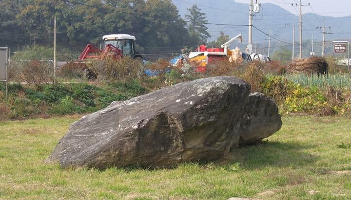 충주 신청리 고인돌