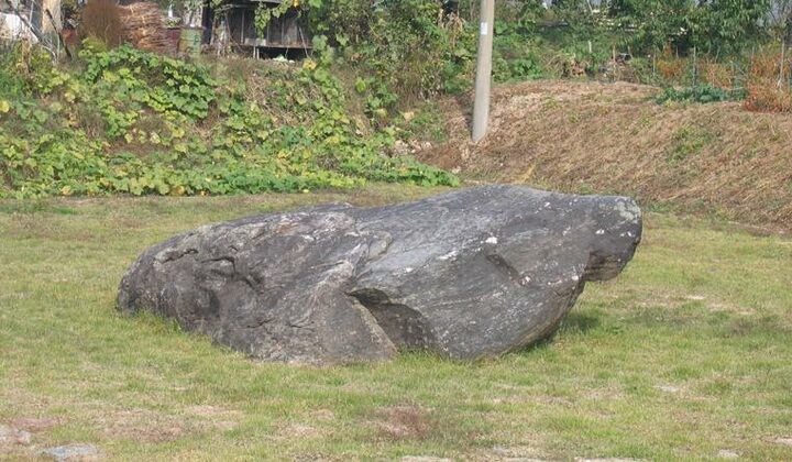 충주 신청리 고인돌