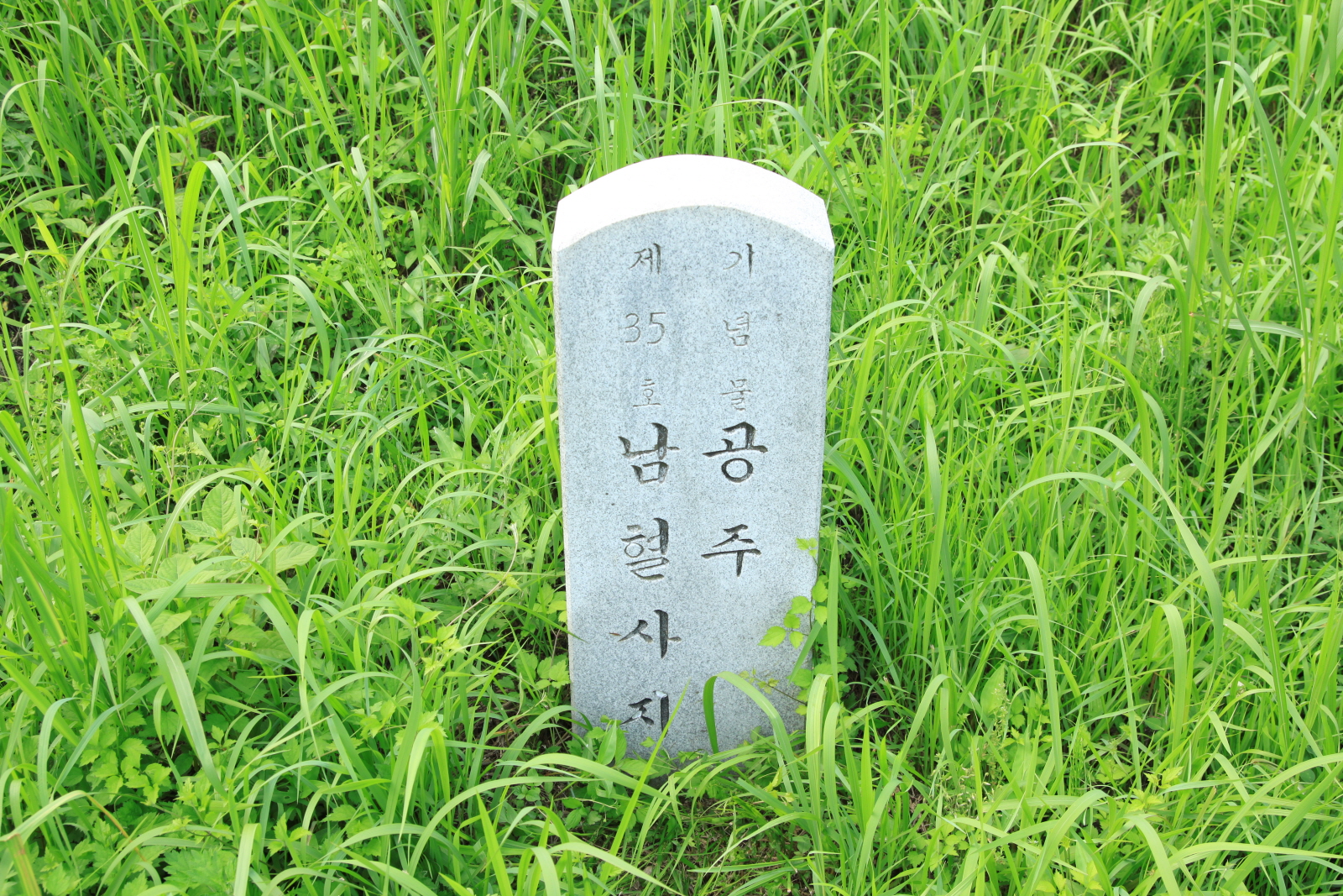 공주남혈사지 표지석