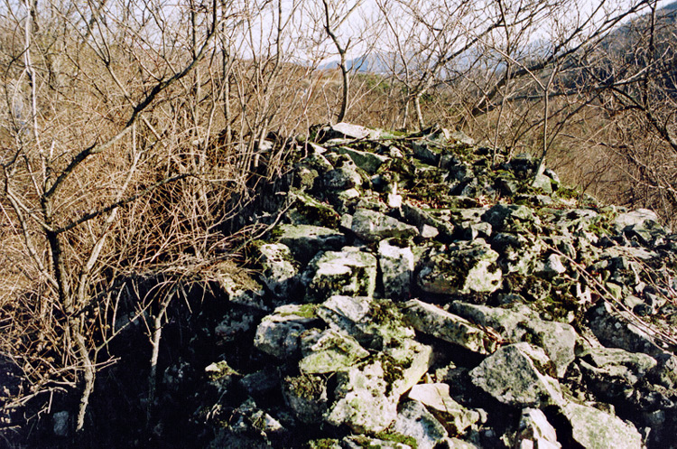 성지전경