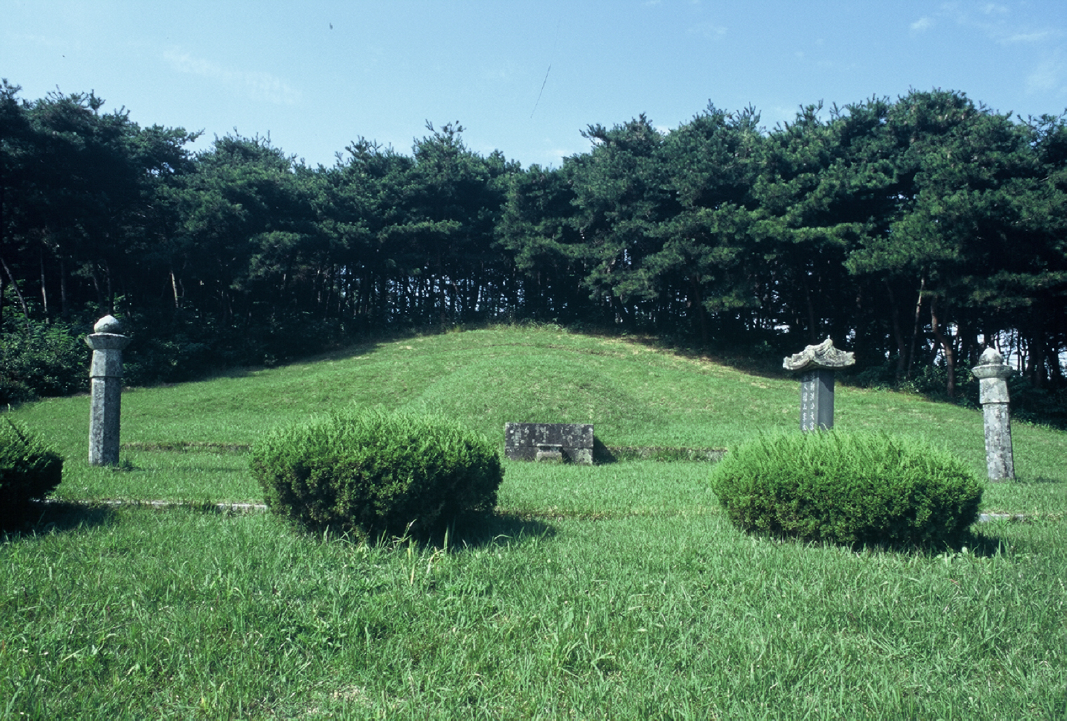조선후기 실학자이며 과학자인 홍대용(1731~1783)과 그의 부인 한산 이씨가 함께 묻힌 묘,  무덤은 원형이고, 무덤 앞에는 상석(床石)과 망주석(望柱石), 비석(碑石)이 서있다. 비석을 세운 연대는 1857년(철종 8년)이고, 글을 지은이는 김홍근이다.