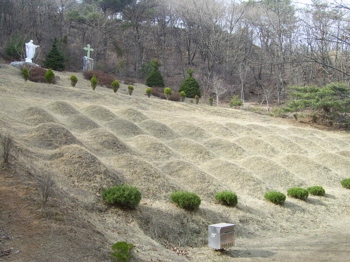 1줄무덤