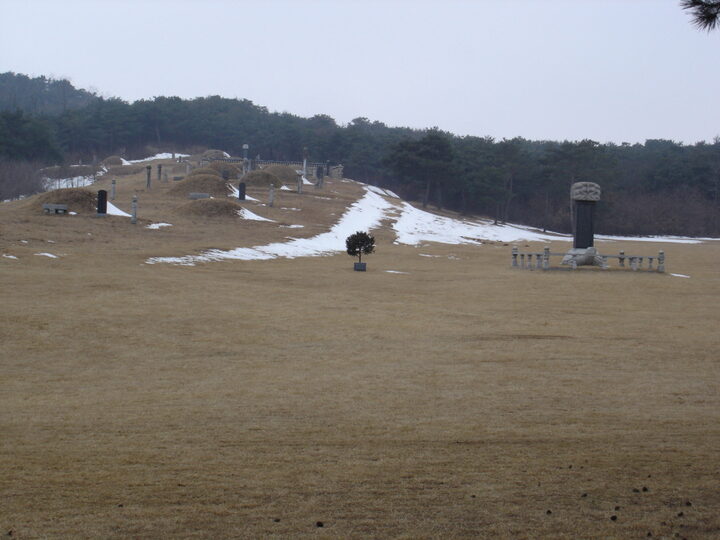 묘역 전경