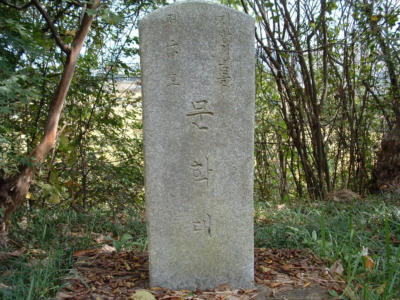 문학대