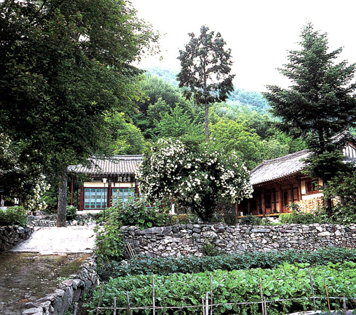 귀정사지