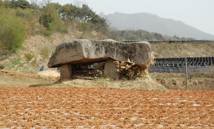산수리지석묘(1기)