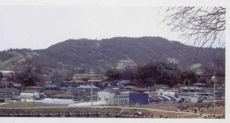 화순천덕리회덕고분군