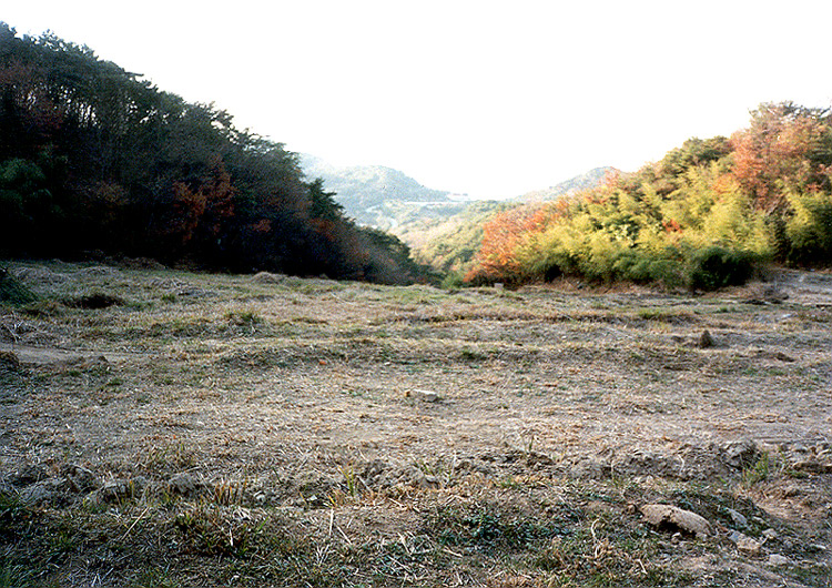 봉림사지전경