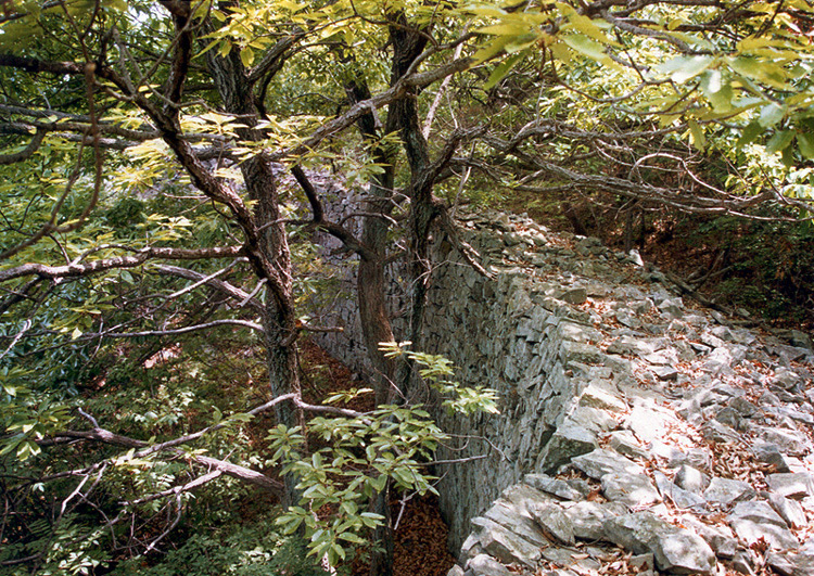 고산성근경