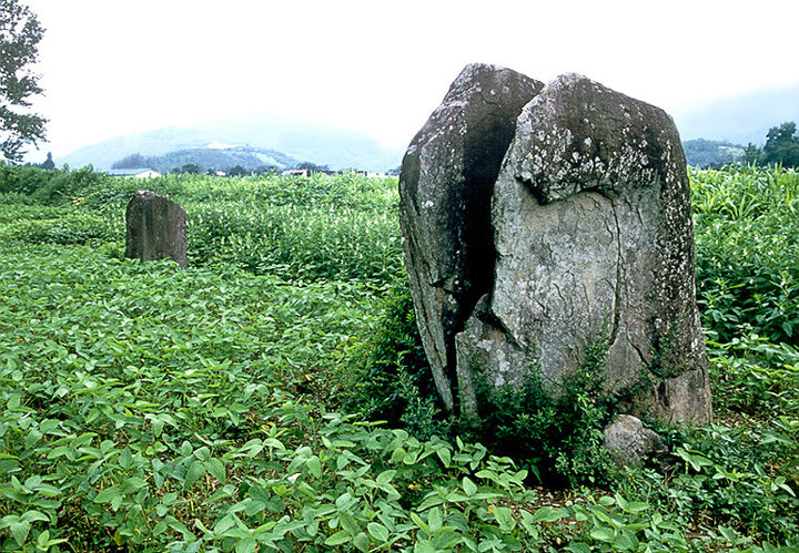 의령신포리입석군