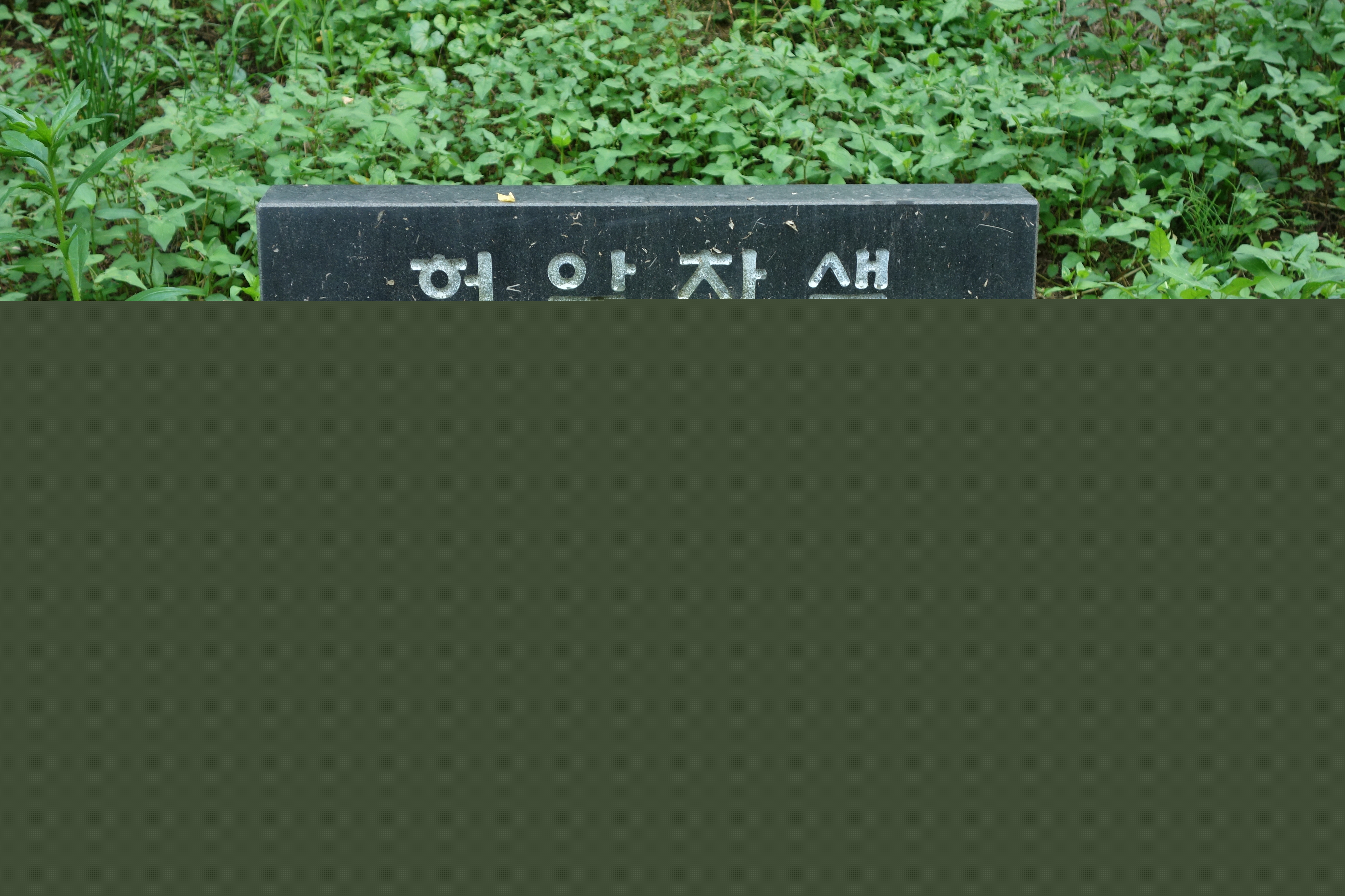 허암 정희량 유허지