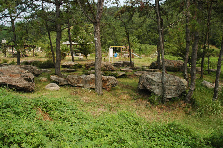 완도 고금도 지석묘군