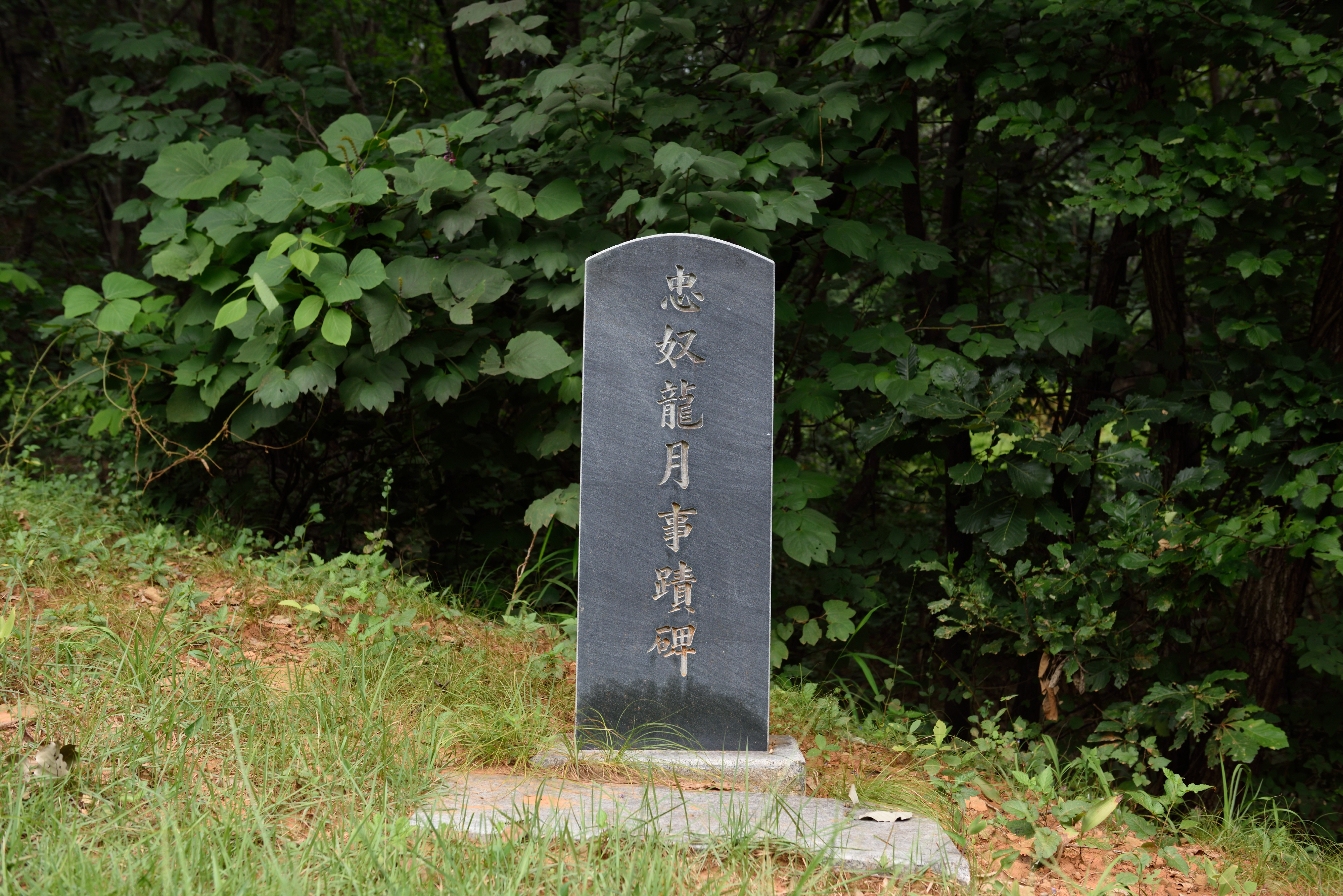 정발장군묘_충노용월사적비 (촬영년도 : 2015년)