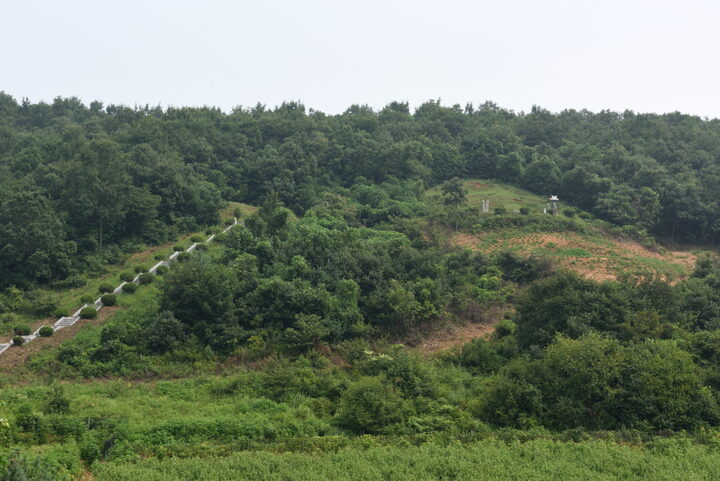 미수허목묘역_전경2 (촬영년도 : 2015년)