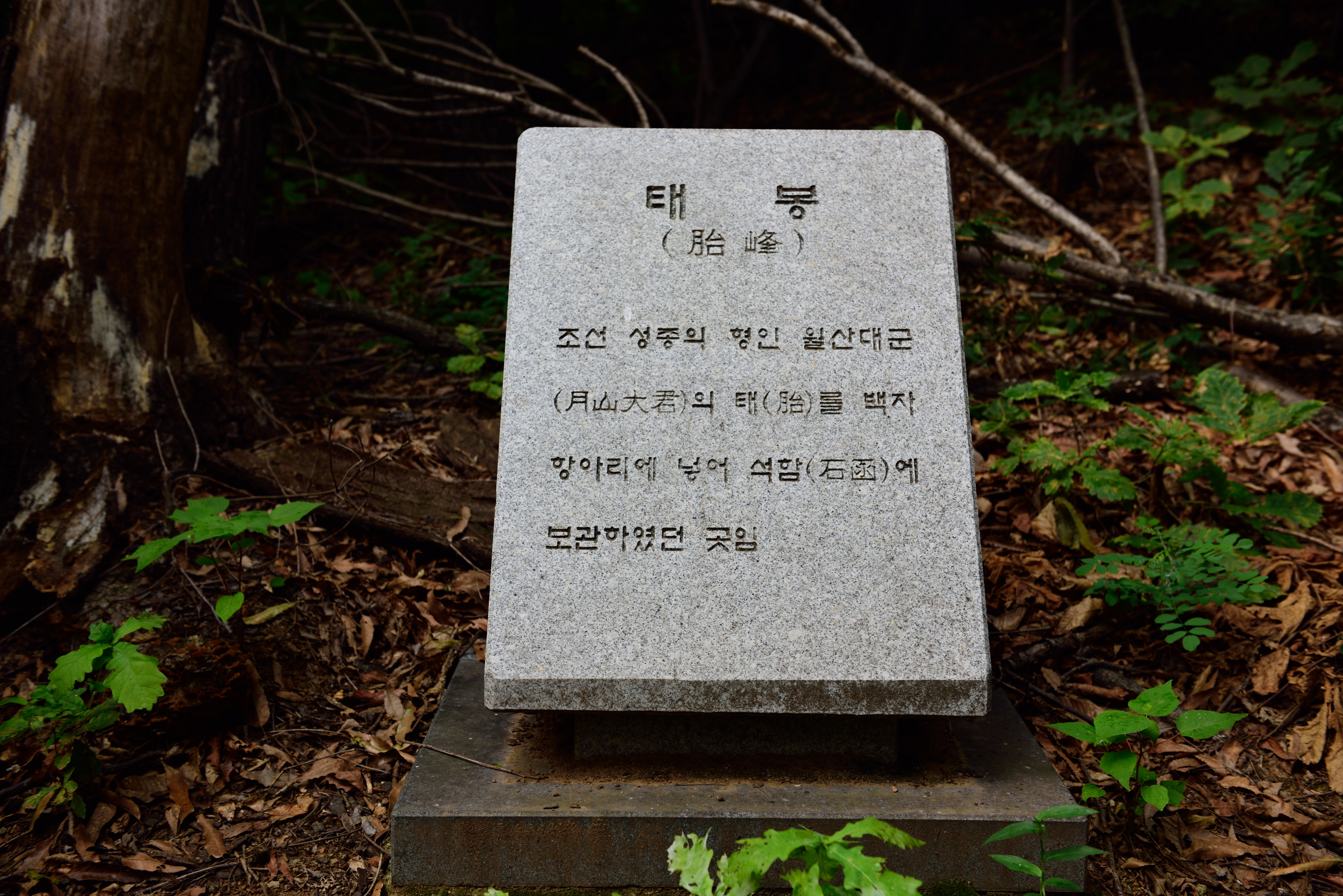 월산대군 이정 태실_태봉 (촬영년도 : 2015년)