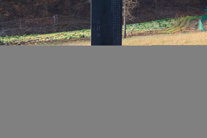 김옥균선생유허_추모비 귀부 (촬영년도 : 2015년)