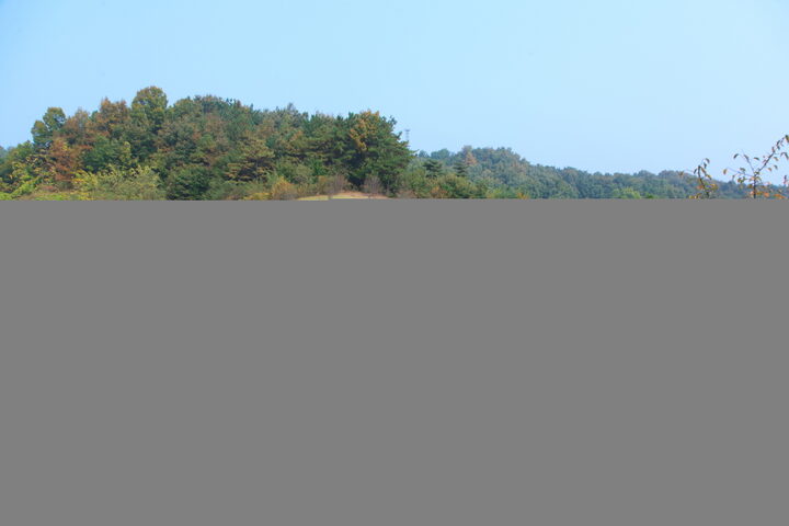 공주 단지리 고분군_전경2 (촬영년도 : 2015년)