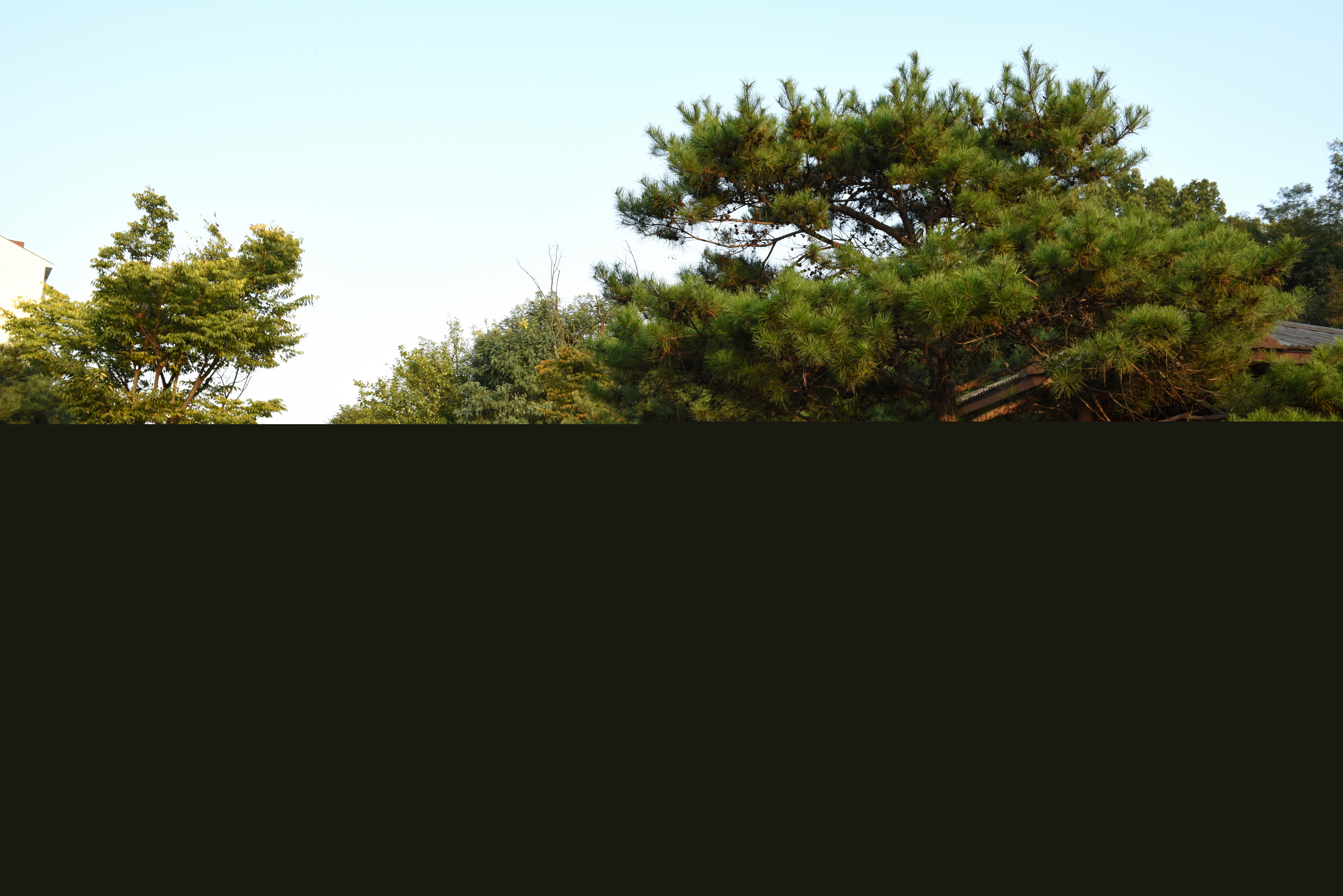 청주 가경동 유적_전경1 (촬영년도 : 2015년)