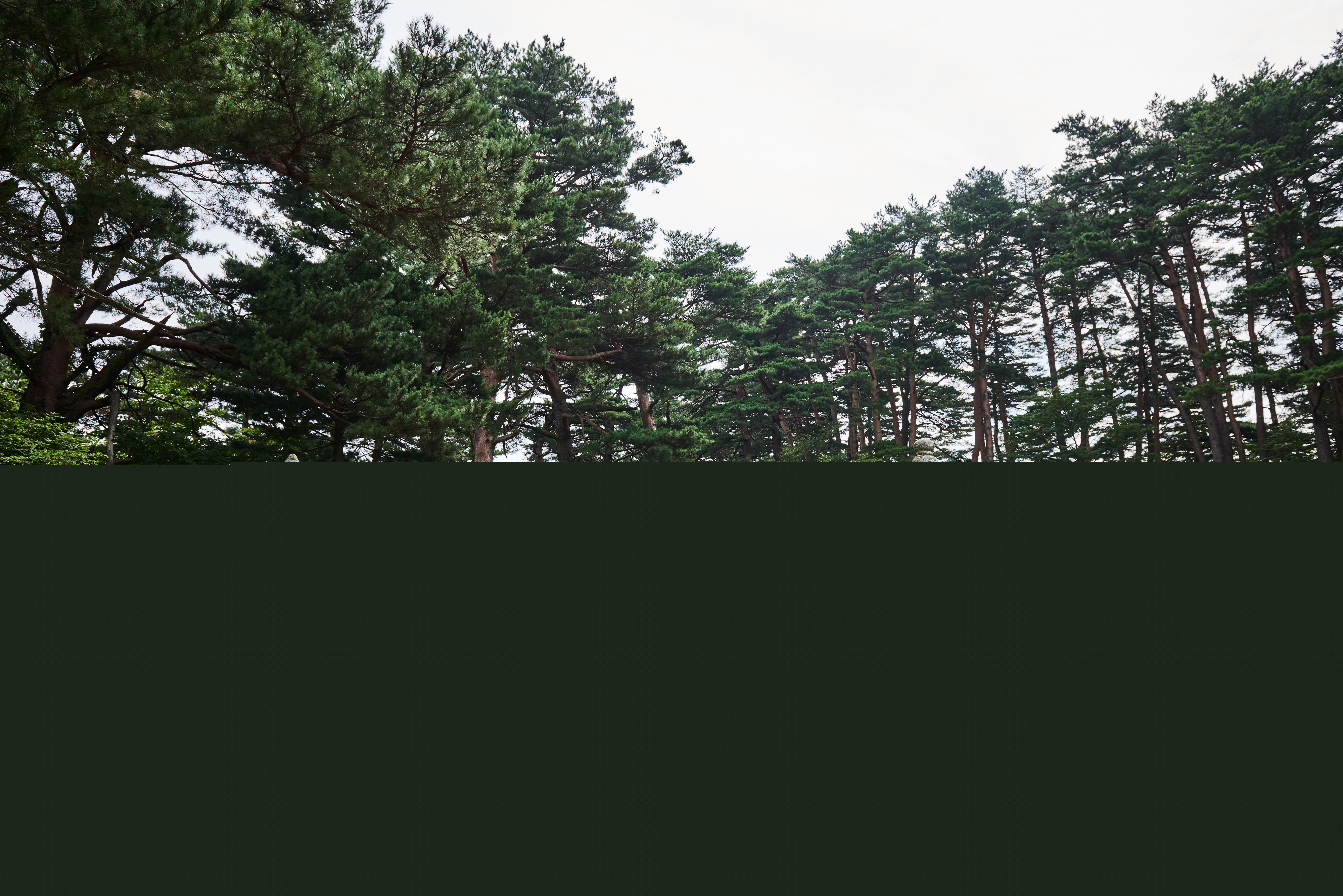 명주군왕릉_전경 (촬영년도 : 2016년)