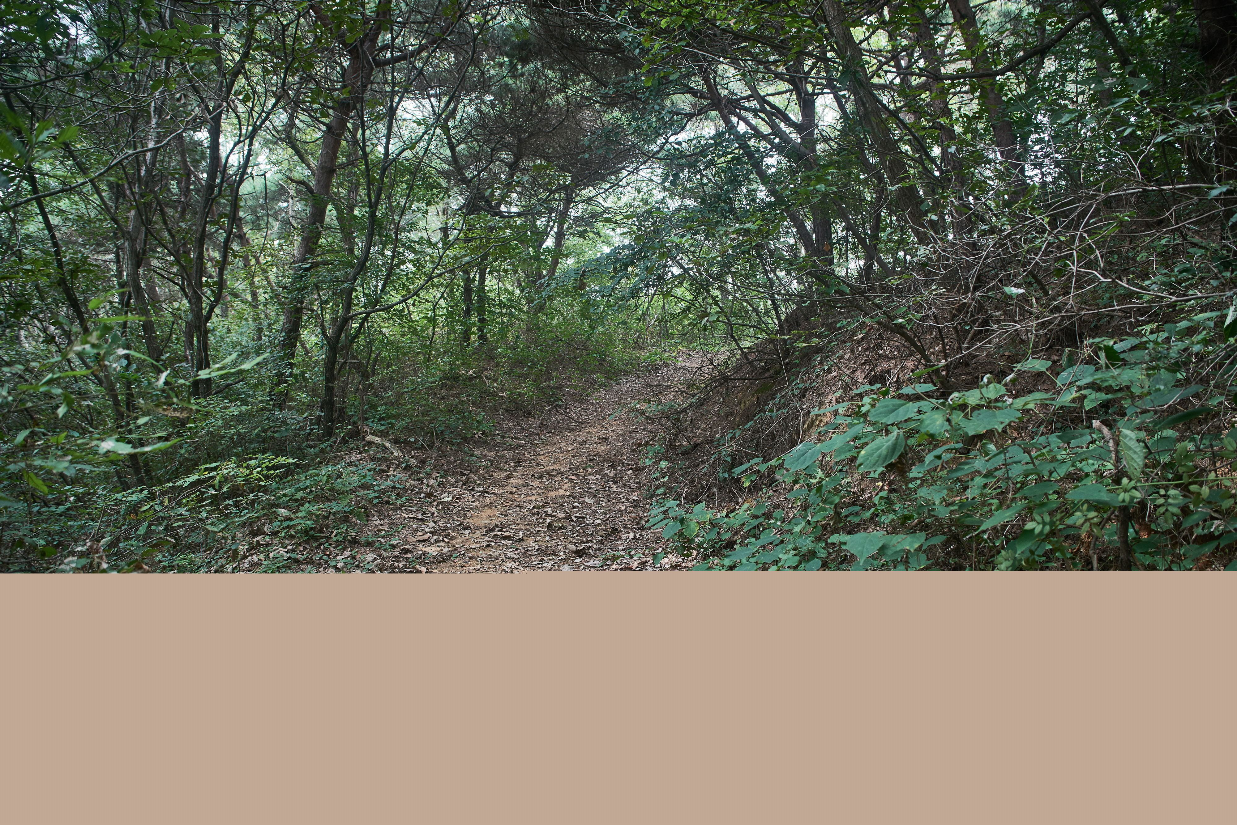 평택무성산성지 3