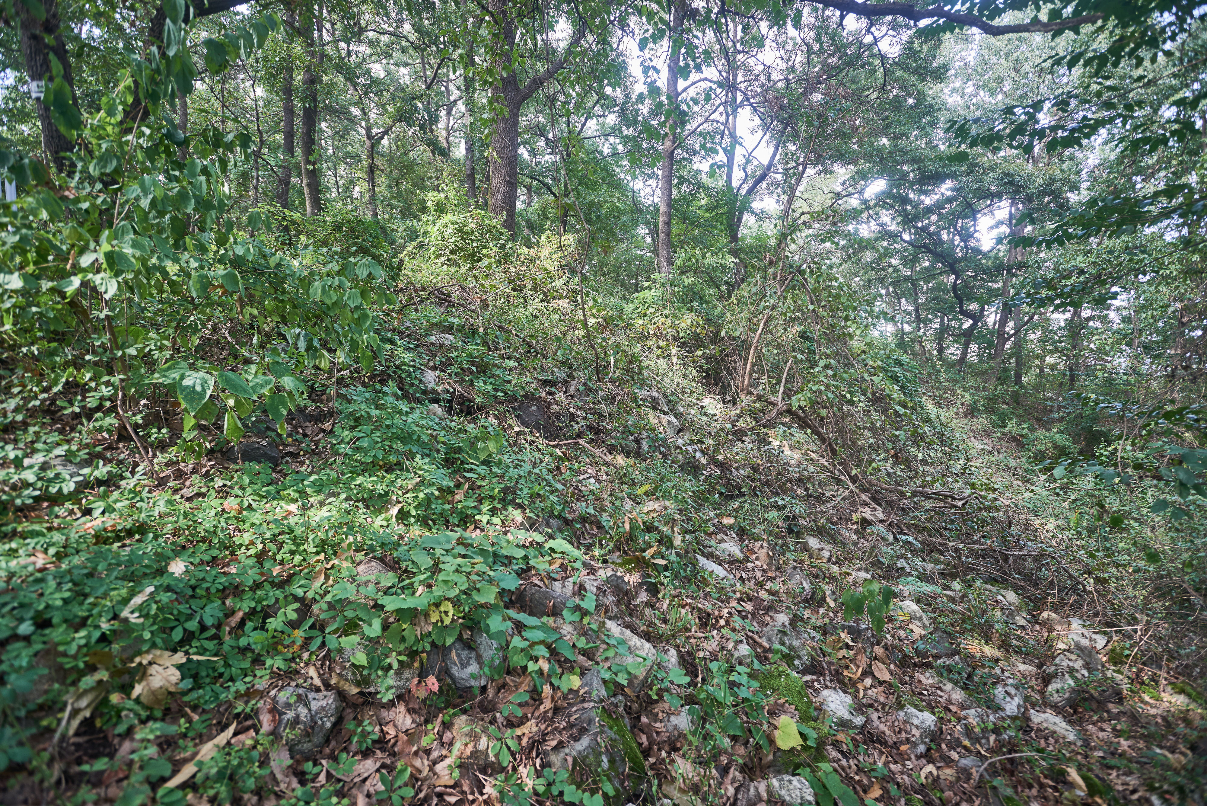 흑석동산성
