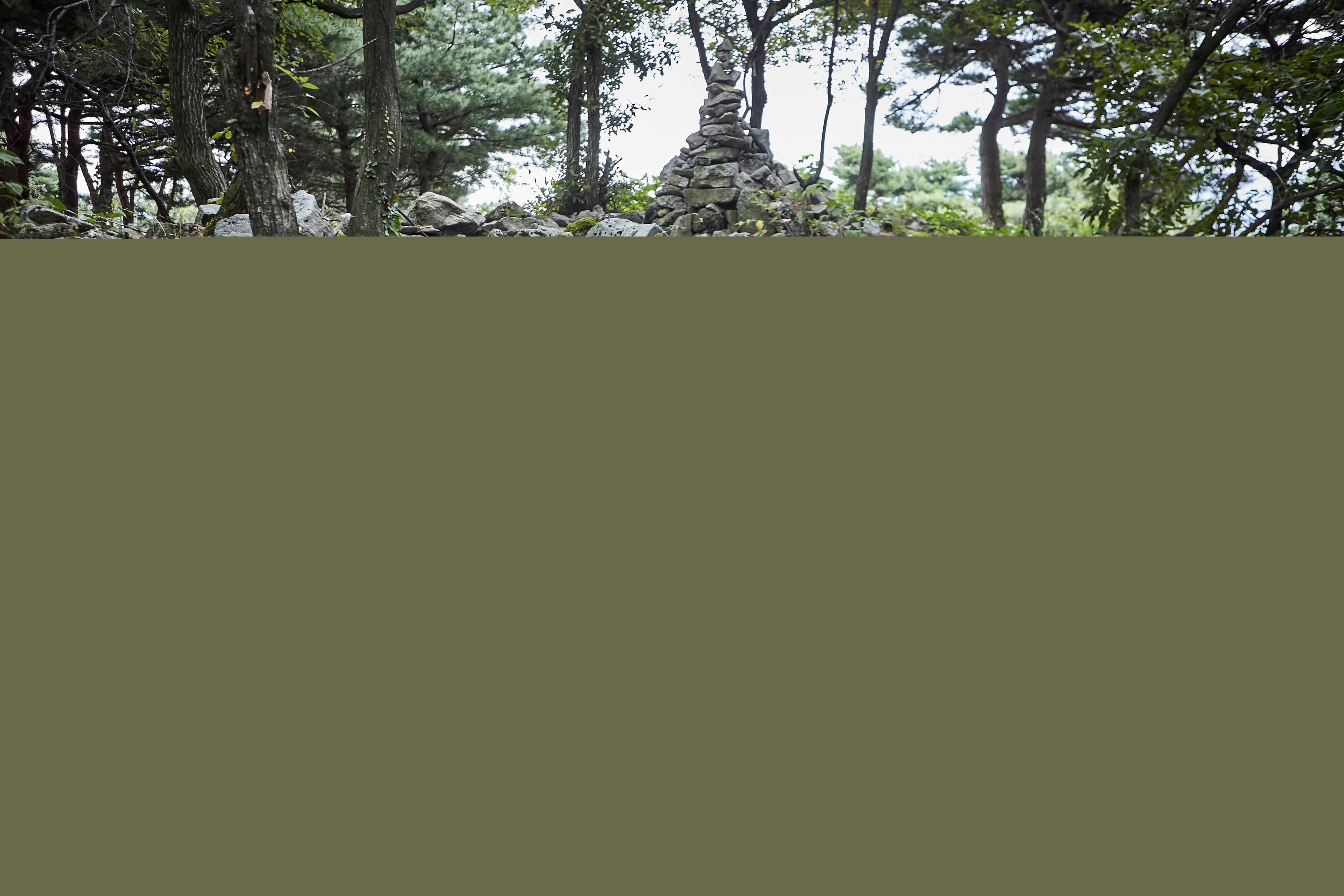 고봉산성