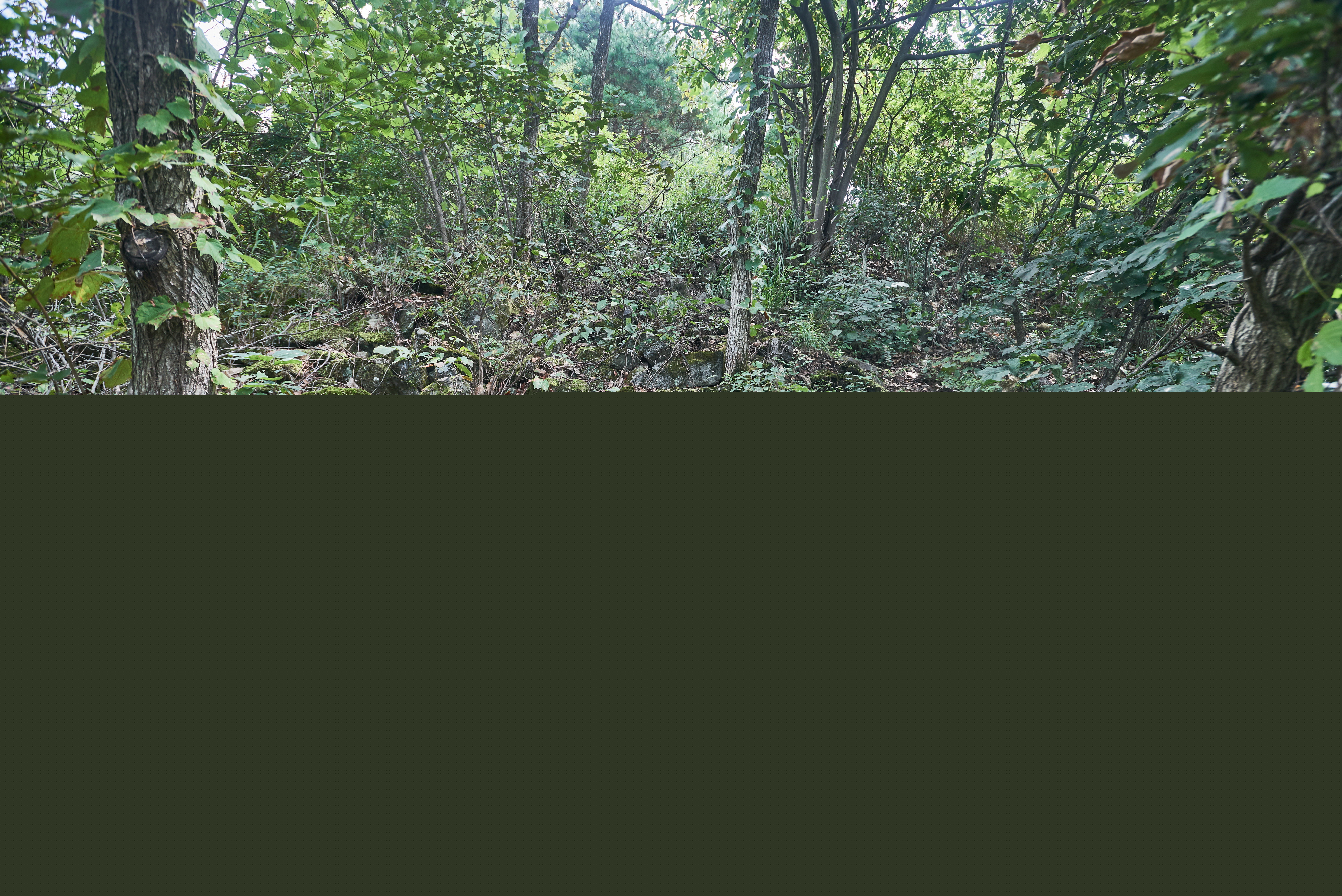 백골산성