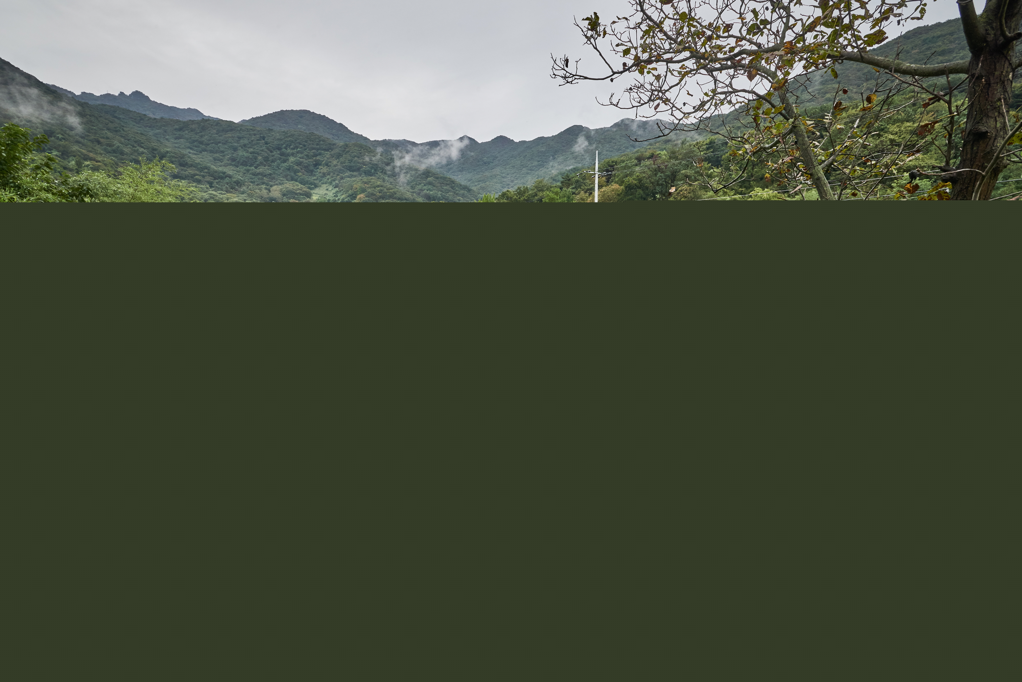 공주구룡사지