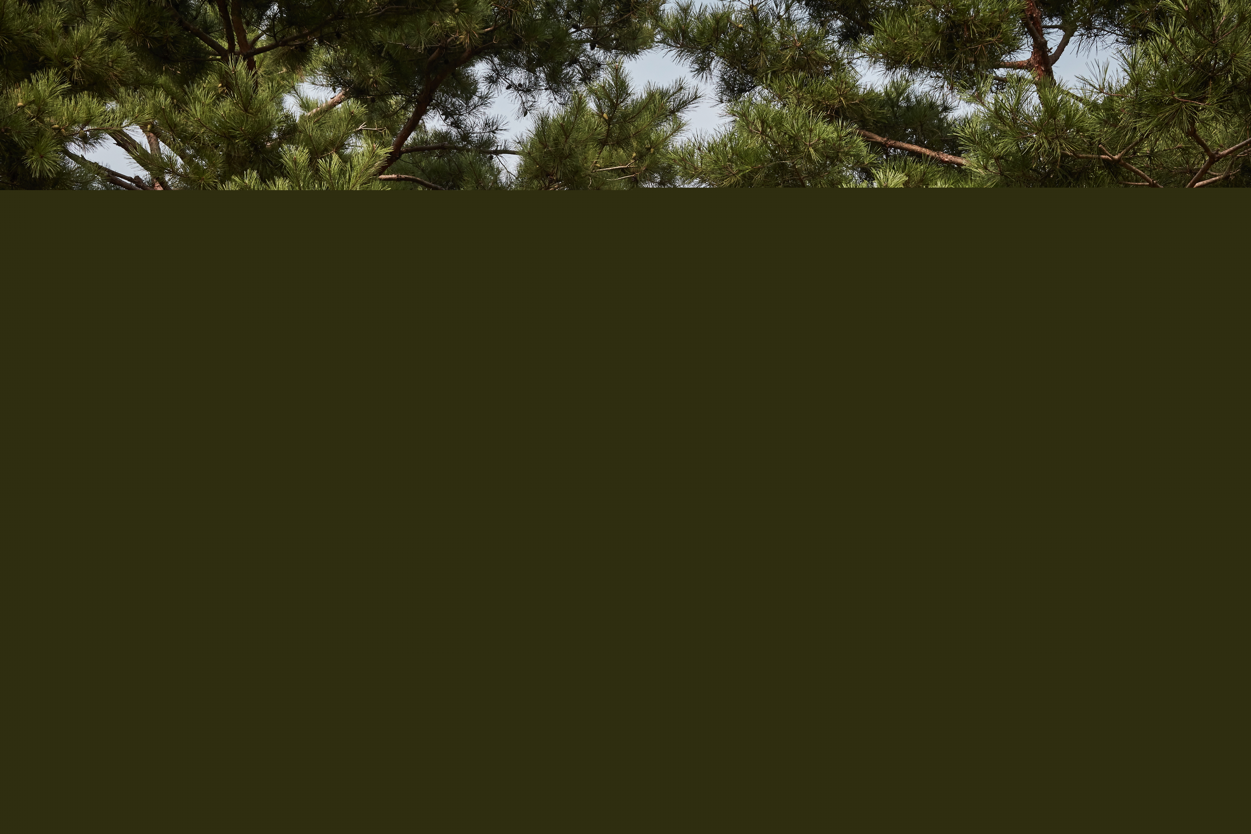 김좌진장군생가지