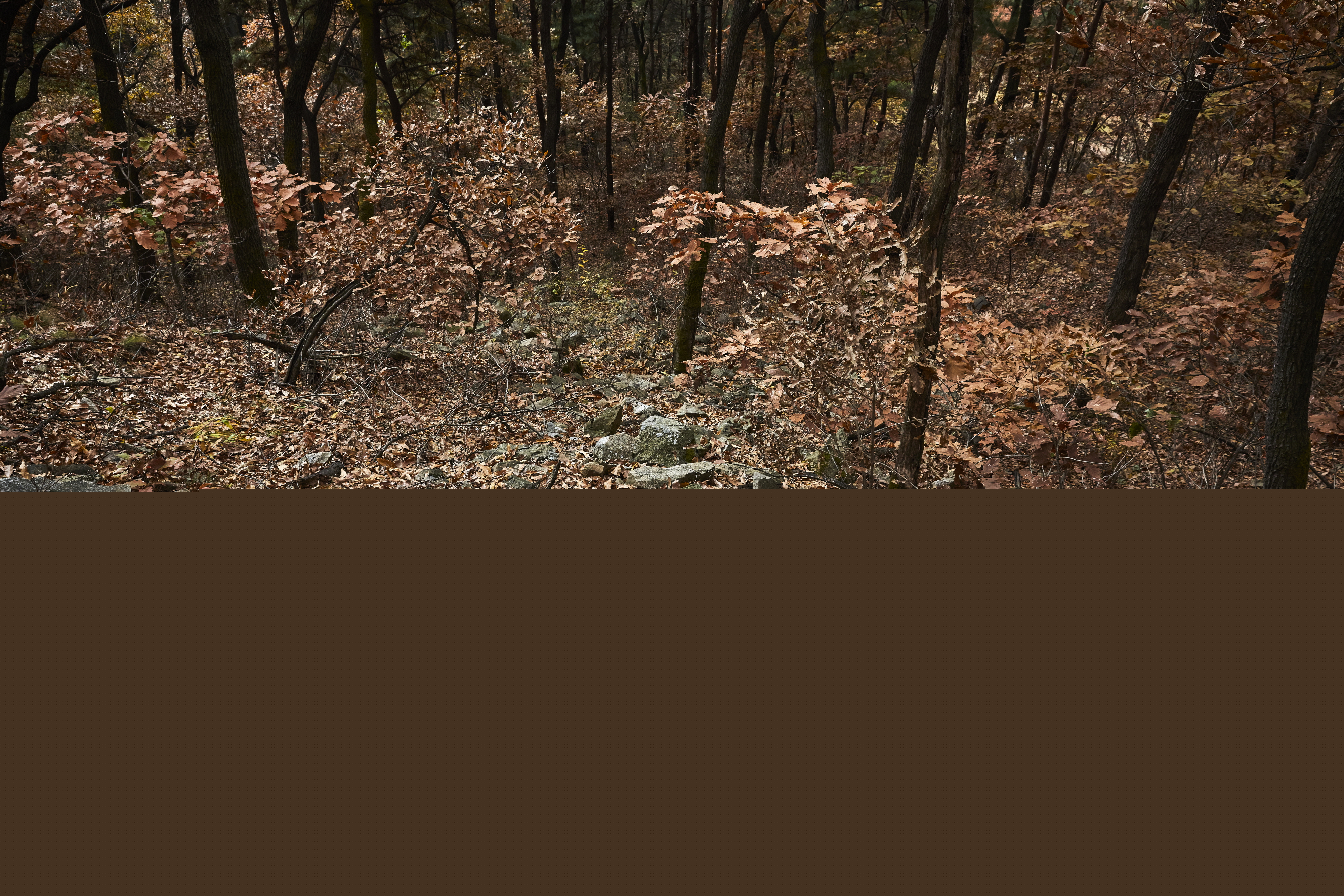 천안세성산성