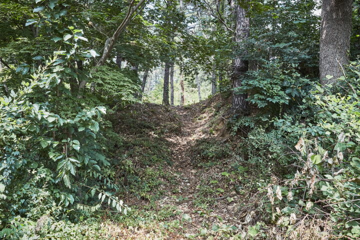 은산당산성