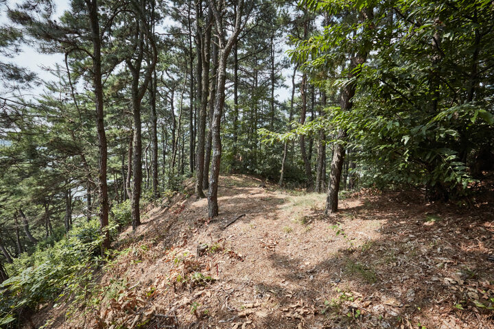 은산당산성