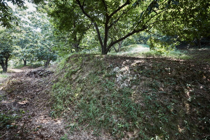 은산당산성