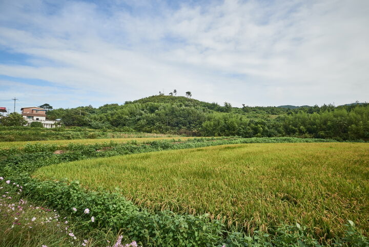 당진성상리산성