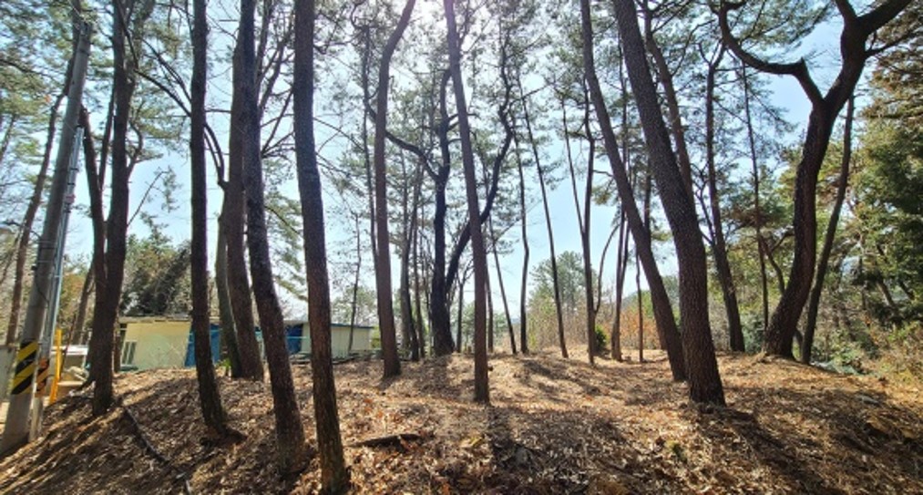 고성 사직단