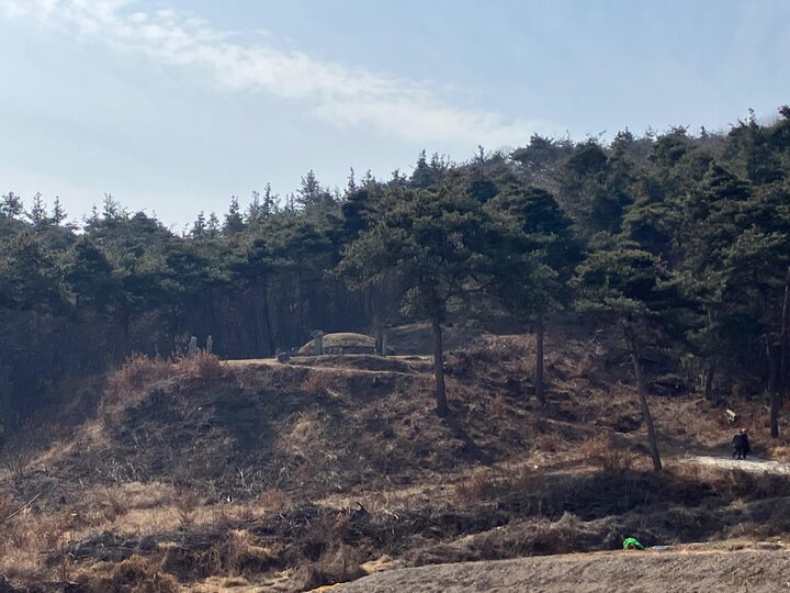 함양 양희 묘역 전경