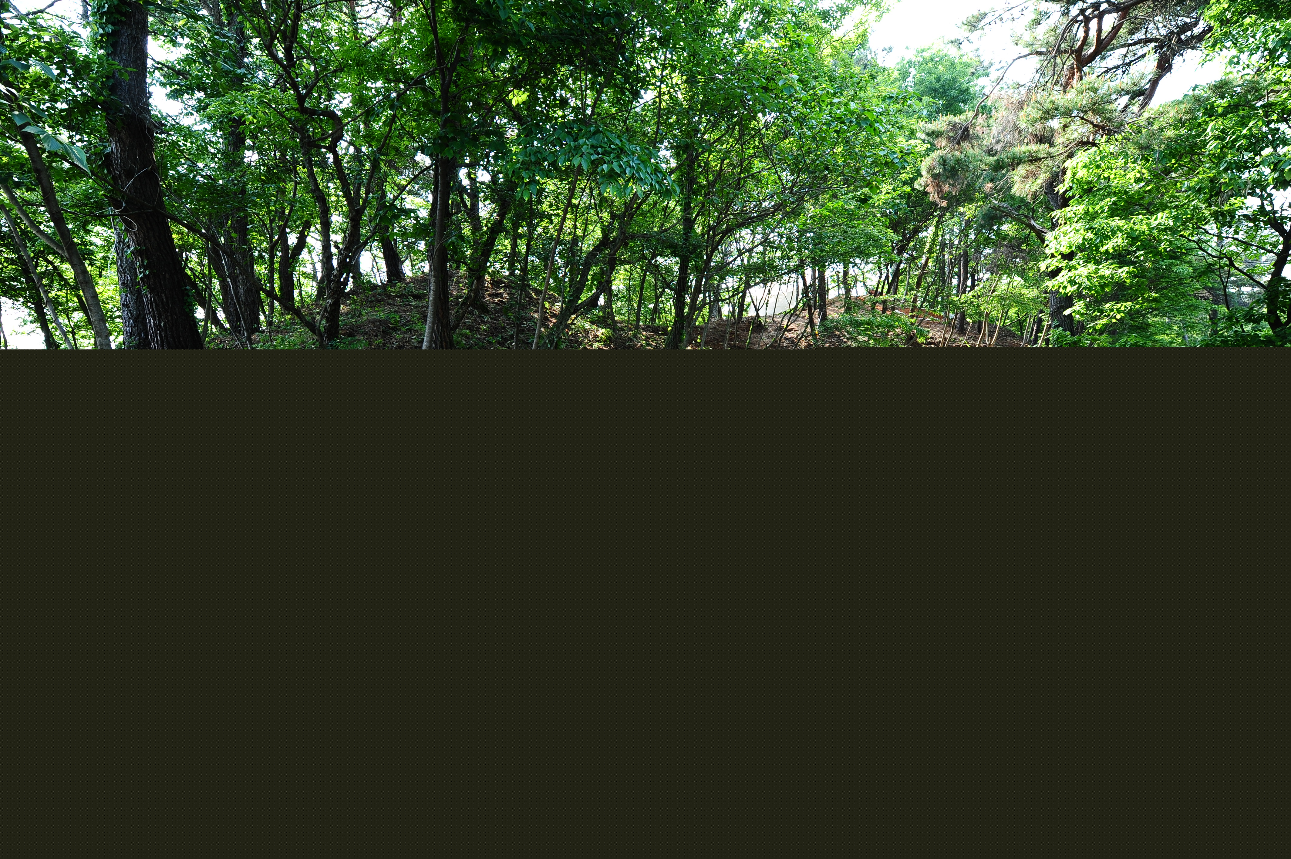 고창 칠암리 용산고분 전경, 고창군
